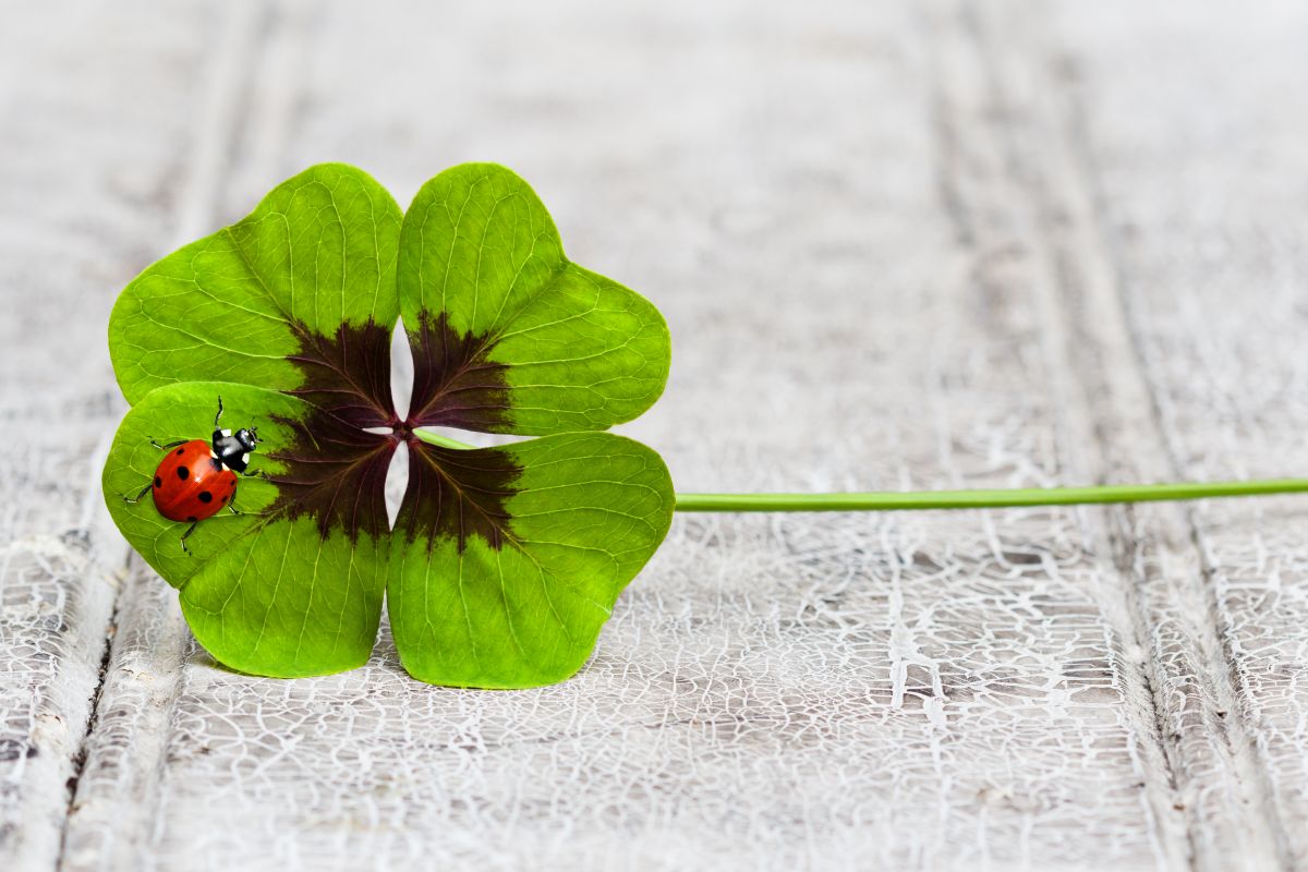 Glück - gibt es das auch in schwierigen Zeiten? Foto: AdobeStock_179062551